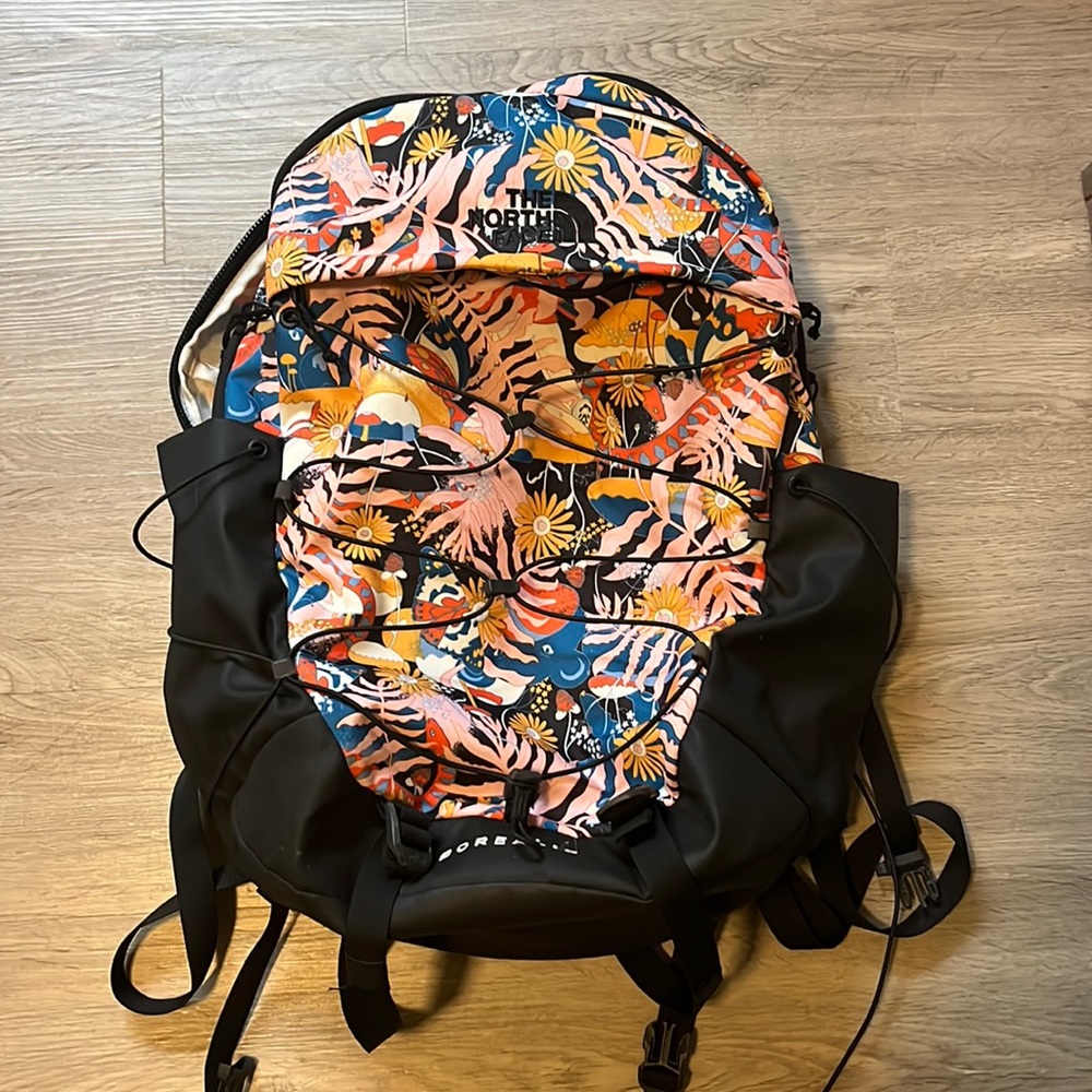 north face borealis international women’s day backpack (full size not the mini)